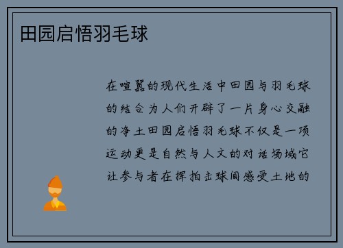田园启悟羽毛球